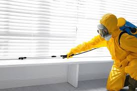 Emergency Pest Control Services in Desert Hot Springs, CA